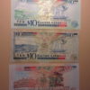 EAST CARIBBEAN STATES 1965-2015 SET OF 1-5-10-20-50-100 DOLLARS - Image 4
